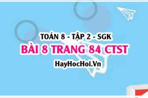 Bài 8 trang 84 Toán 8 Tập 2 Chân trời sáng tạo